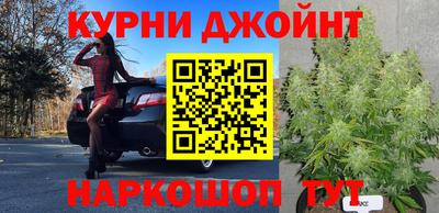 apvp Рузаевка