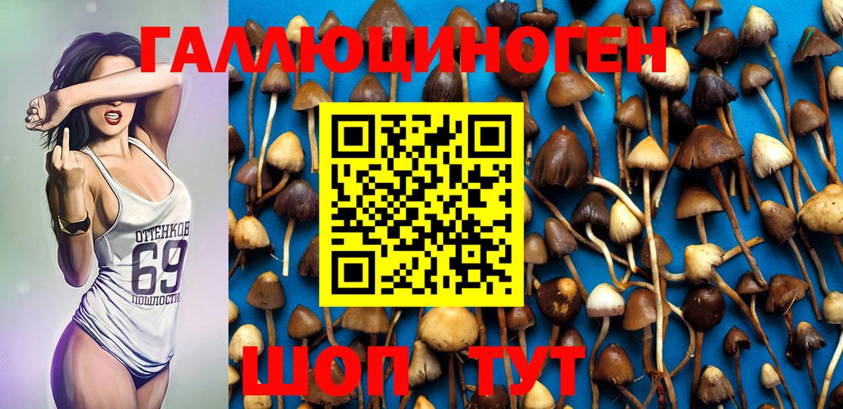 Пушкино  Псилоцибиновые грибы MAGIC MUSHROOMS  Вход с VPN  Псилоцибиновые грибы Magic Shrooms 