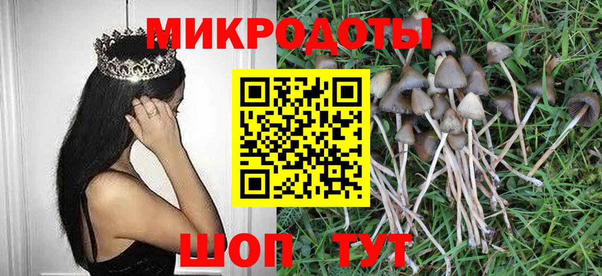 Галлюциногенные грибы Psilocybine cubensis Пушкино